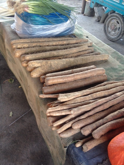 Ich weiß nicht was das ist, irgendwas aus dem Wald