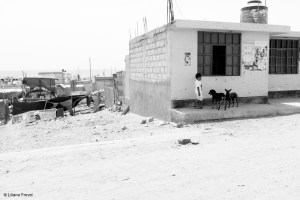 Nasca-Atico_P1120136